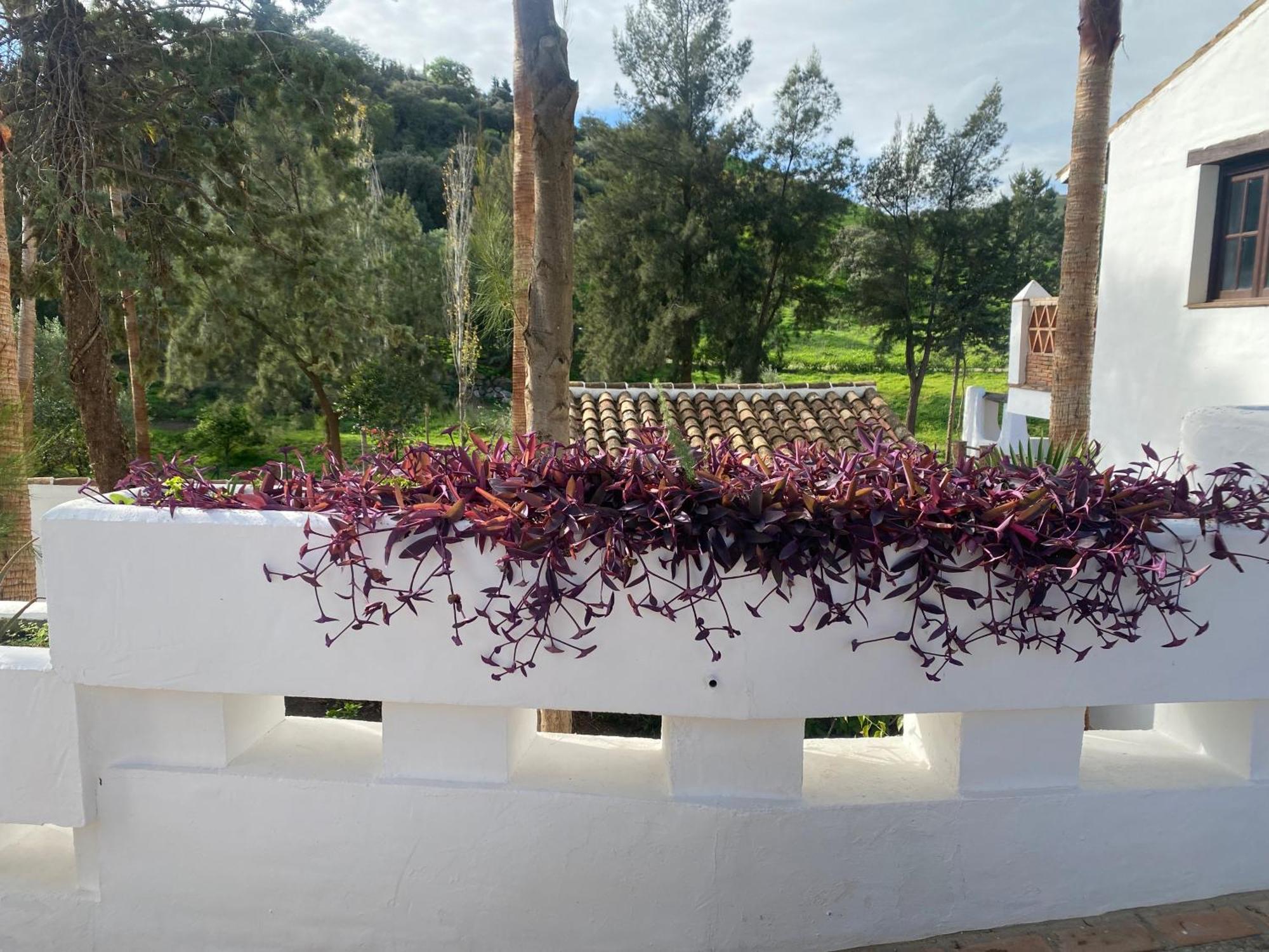 Malaga Sierra De Las Nieves By Real Spain Hotels Adults Recommended Casarabonela Exterior photo